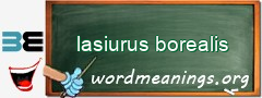 WordMeaning blackboard for lasiurus borealis